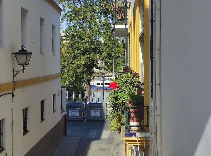 Vive Triana