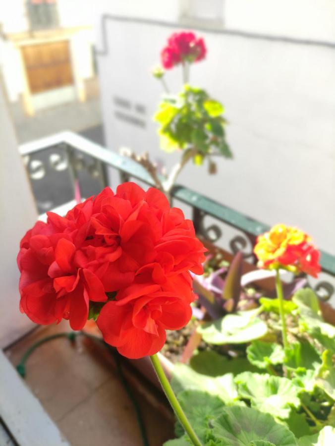 Appartement Vive Triana *