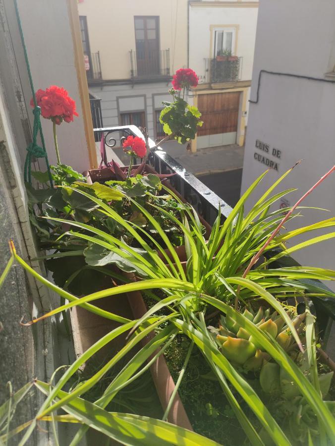 Appartement Vive Triana