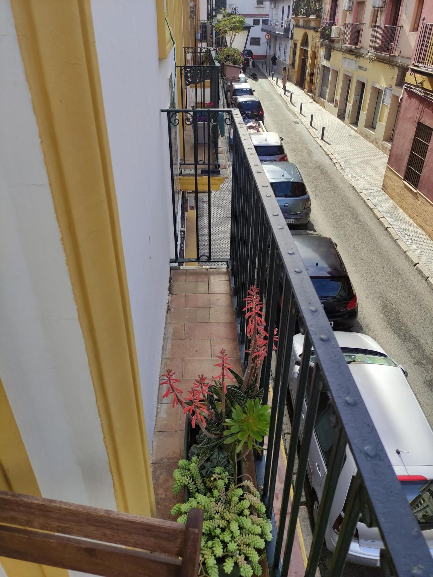 Vive Triana Appartement Séville